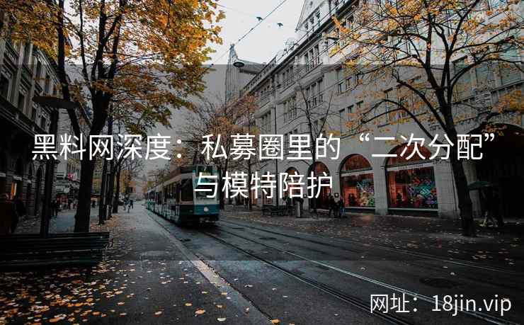 黑料网深度：私募圈里的“二次分配”与模特陪护