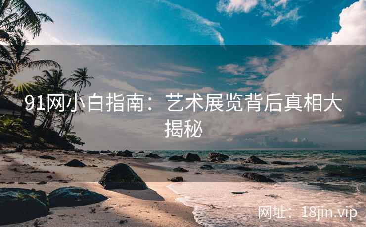 91网小白指南：艺术展览背后真相大揭秘