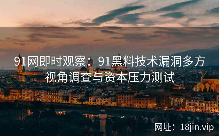 91网即时观察：91黑料技术漏洞多方视角调查与资本压力测试