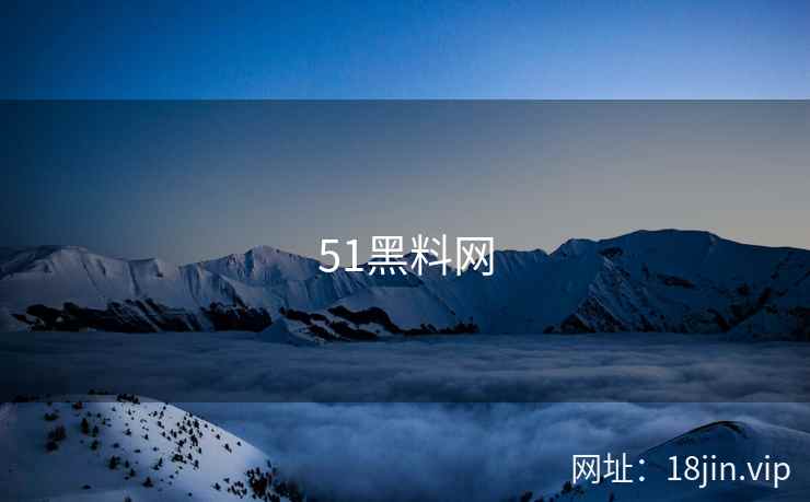 51黑料网