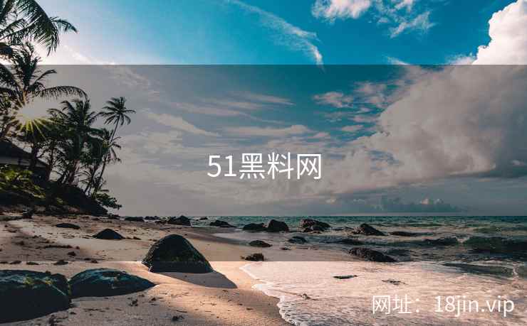 51黑料网
