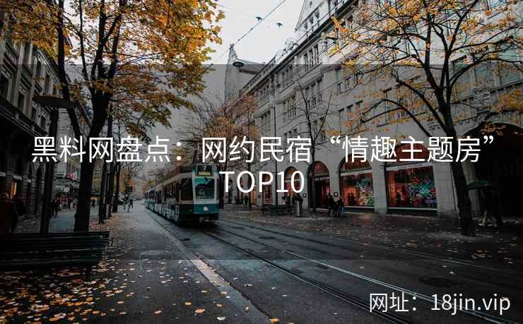 黑料网盘点：网约民宿“情趣主题房”TOP10