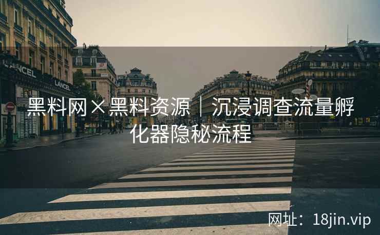 黑料网×黑料资源｜沉浸调查流量孵化器隐秘流程