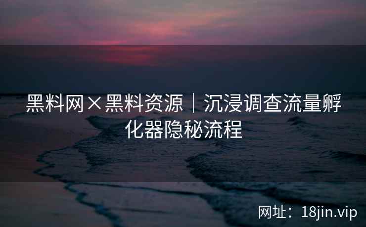 黑料网×黑料资源｜沉浸调查流量孵化器隐秘流程