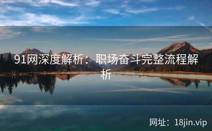 91网深度解析：职场奋斗完整流程解析