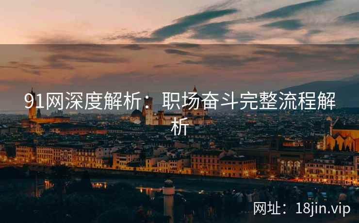 91网深度解析：职场奋斗完整流程解析