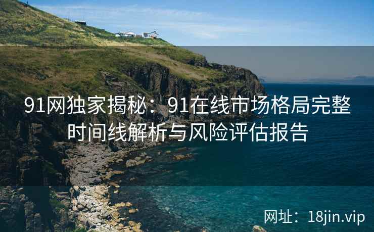91网独家揭秘：91在线市场格局完整时间线解析与风险评估报告