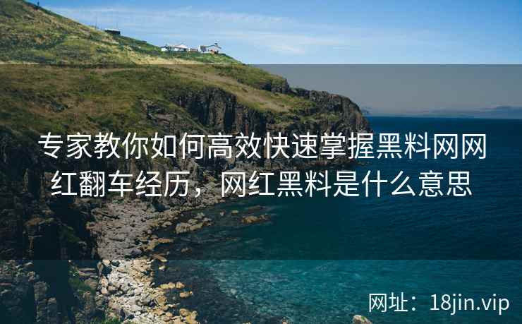 专家教你如何高效快速掌握黑料网网红翻车经历，网红黑料是什么意思