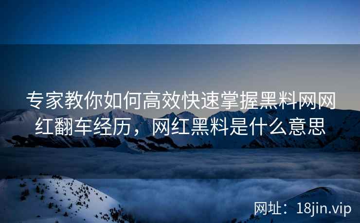 专家教你如何高效快速掌握黑料网网红翻车经历，网红黑料是什么意思