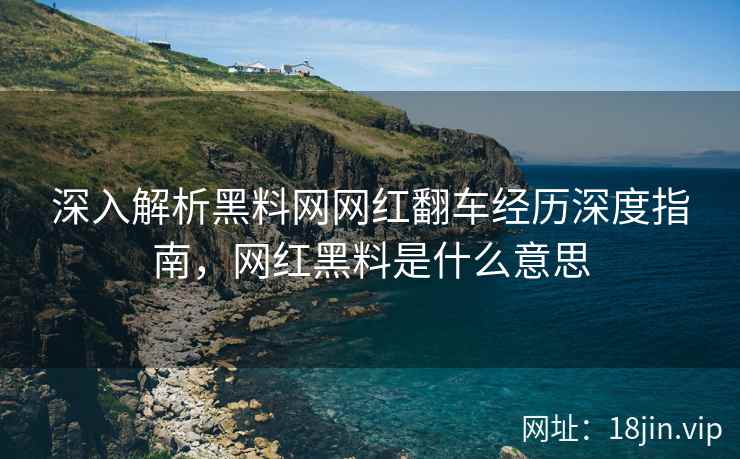 深入解析黑料网网红翻车经历深度指南，网红黑料是什么意思