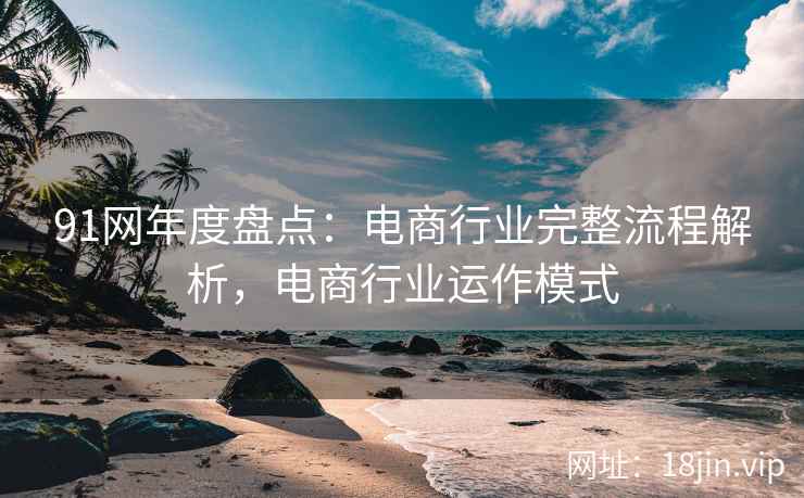 91网年度盘点：电商行业完整流程解析，电商行业运作模式